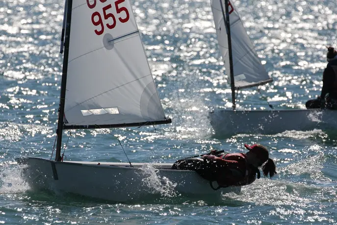 Opti Regatta